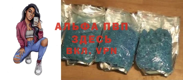 ПСИЛОЦИБИНОВЫЕ ГРИБЫ Козловка