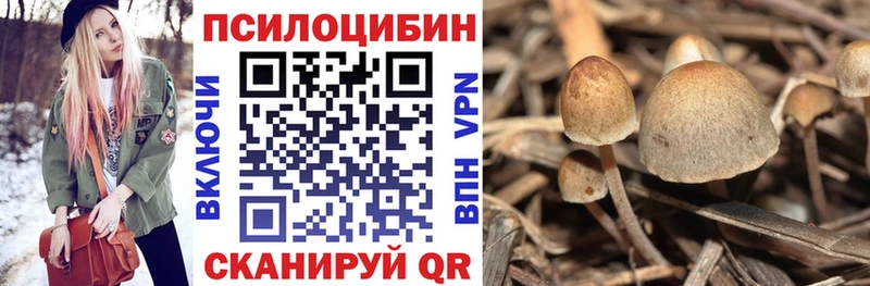Псилоцибиновые грибы мицелий  Белёв 